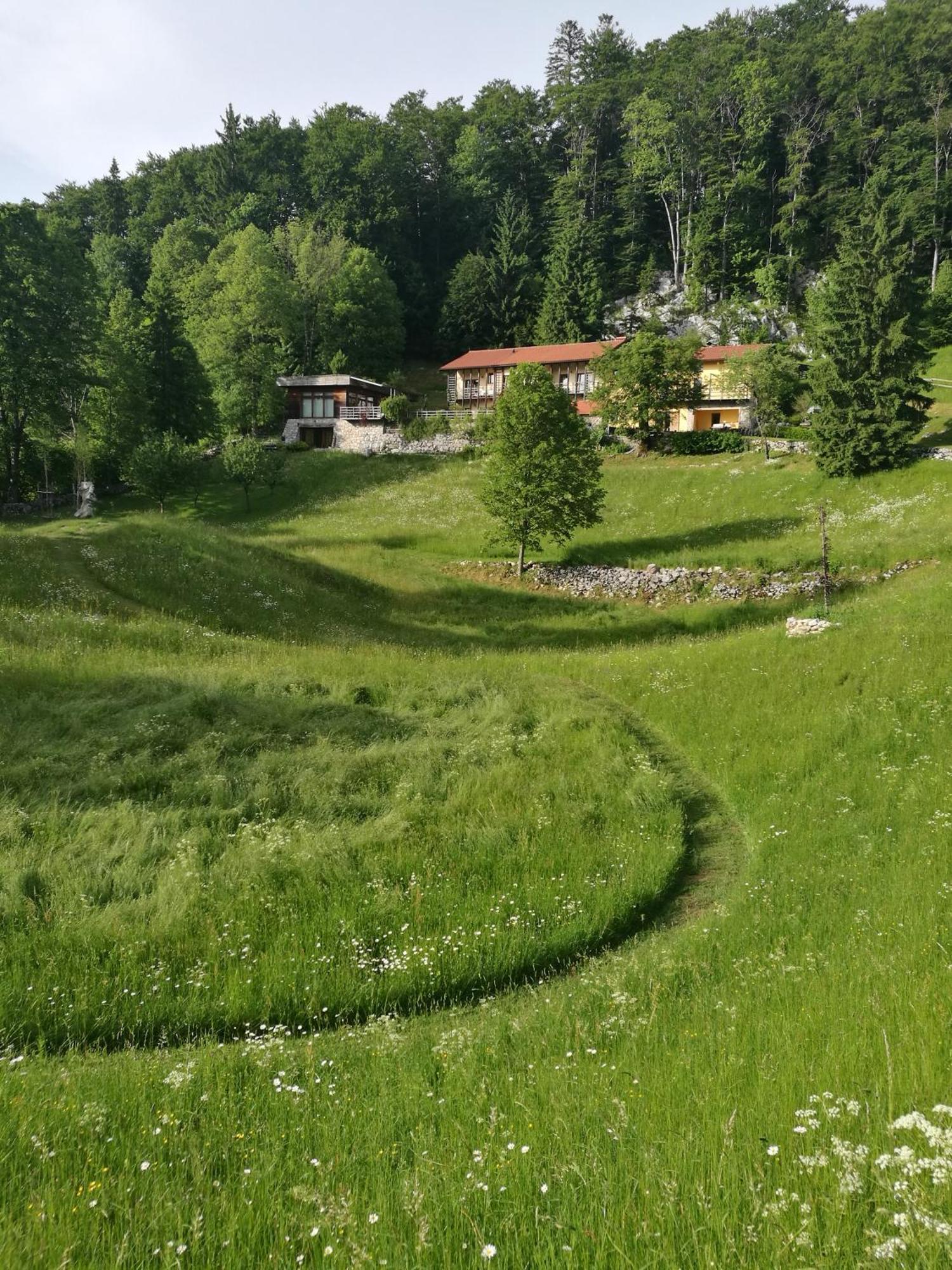 Appartement Posestvo Laz - The Laz Estate Voglarji