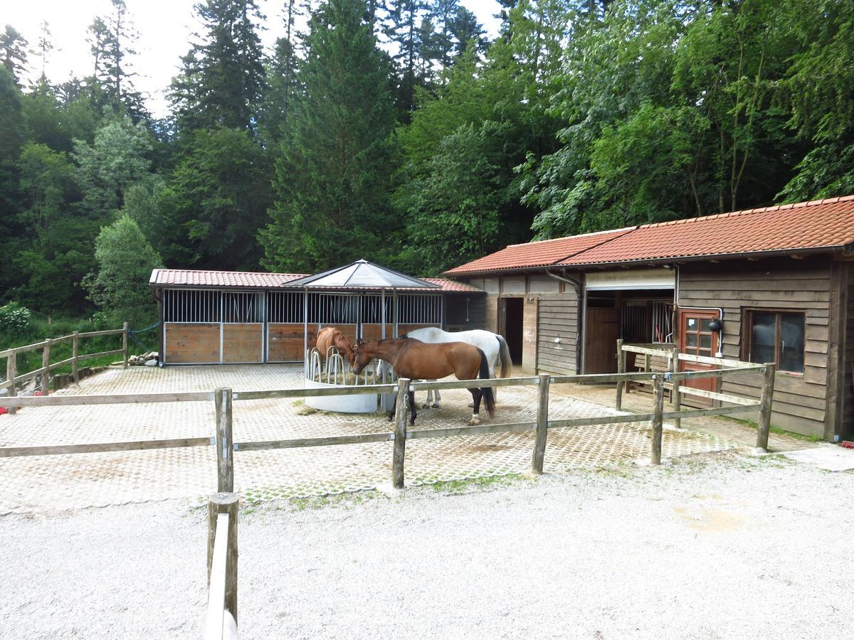 Appartement Posestvo Laz - The Laz Estate